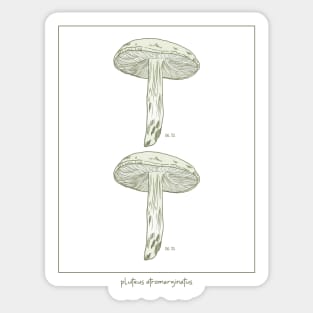 Minimalist Mushroom Sticker
